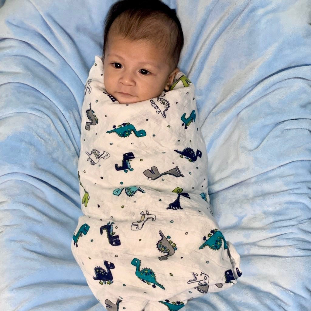 Newborn, Stroller, or Breastfeeding Swaddle Blanket in Dinosaur Print
